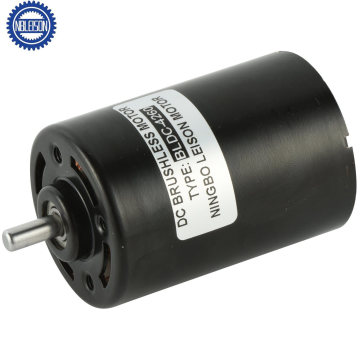 36mm 3650 BLDC Brushless Motor 12V 24V 36V 5W 10W 20W for Water Pump Power Tools